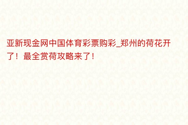 亚新现金网中国体育彩票购彩_郑州的荷花开了！最全赏荷攻略来了！